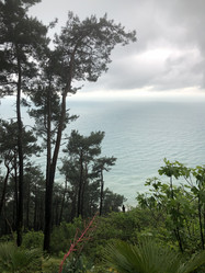 Similar image 21751044