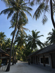 Similar image 21751045