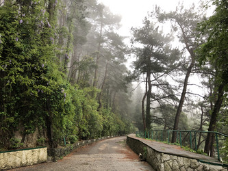 Similar image 21751048