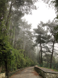 Similar image 21751049