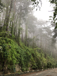 Similar image 21757113