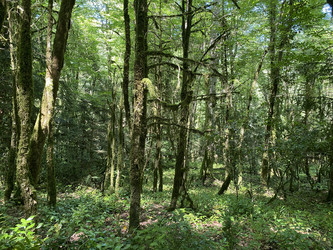 Similar image 21757114