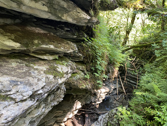 Similar image 21757516