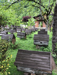 Similar image 21757517