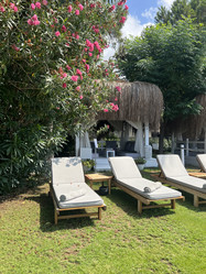 Similar image 21751055