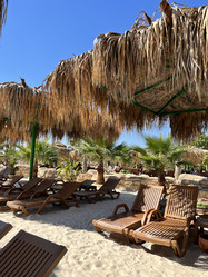 Similar image 21757519