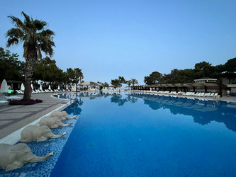 Similar image 21721360