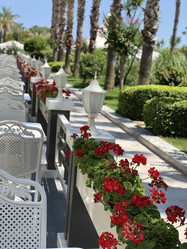 Similar image 21757796