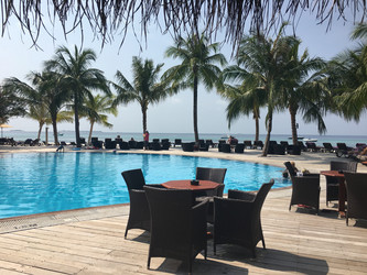 Similar image 21757801