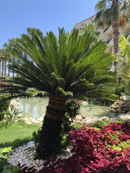 Similar image 21758546