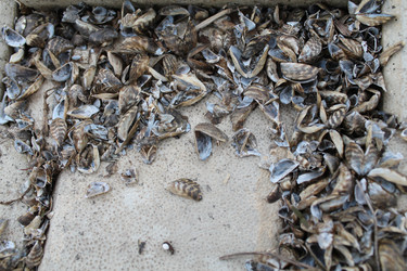 Similar image 21722506