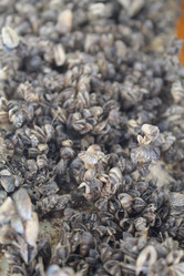 Similar image 21722508