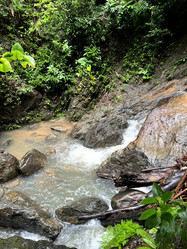 Similar image 21721367