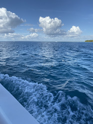 Similar image 21722521