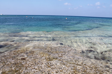 Similar image 21757804