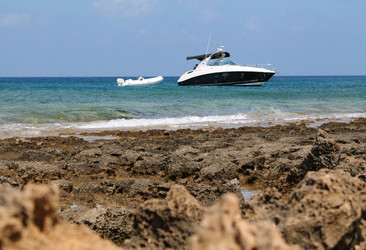 Similar image 21757805