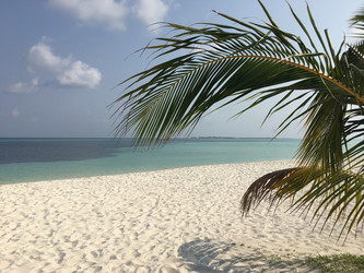 Similar image 21762042