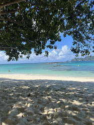 Similar image 21762043