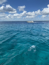 Similar image 21762045