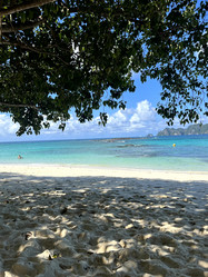 Similar image 21761439