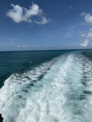 Similar image 21761446