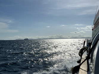 Similar image 21762082