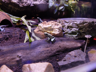 Similar image 21721378