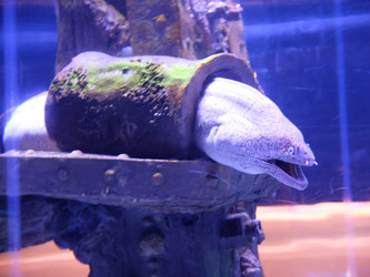 Similar image 21721379