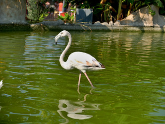 Similar image 21722526