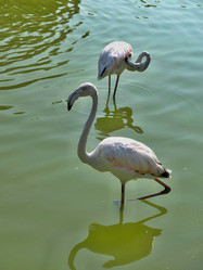 Similar image 21751089