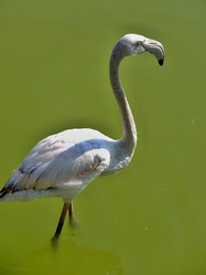 Similar image 21751090