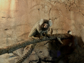 Similar image 21751091