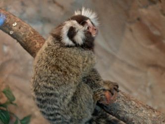 Similar image 21751092