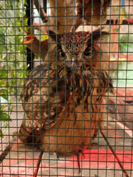 Similar image 21757131