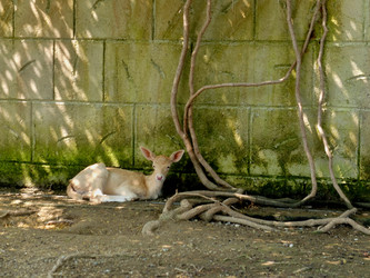 Similar image 21757132