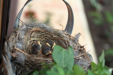 Similar image 21757812