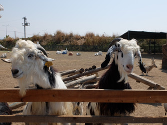 Similar image 21757813