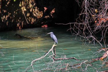 Similar image 21757815