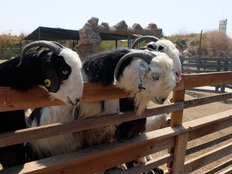 Similar image 21757816