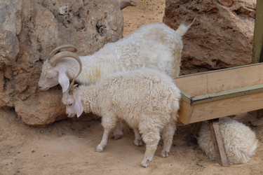 Similar image 21757817