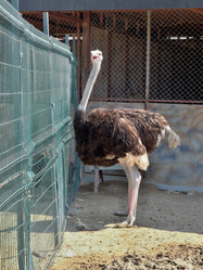 Similar image 21758522