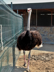 Similar image 21758550