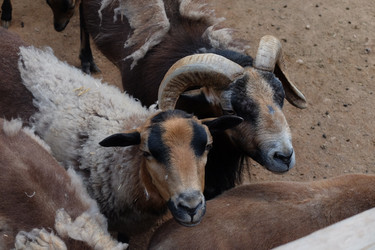 Similar image 21760380