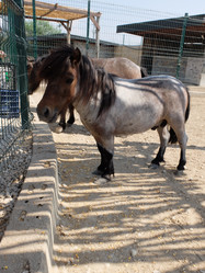 Similar image 21760975