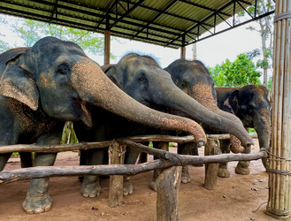 Similar image 21722528