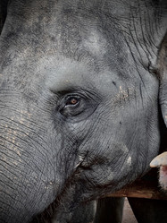 Similar image 21722529