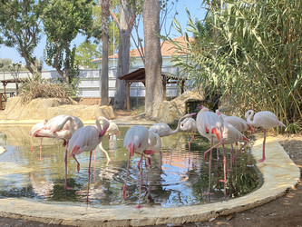 Similar image 21751093