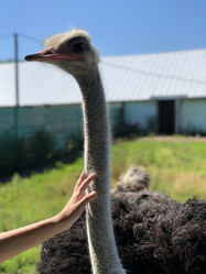 Similar image 21751095