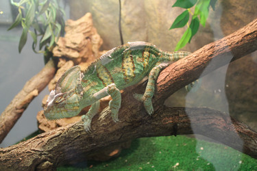 Similar image 21721327