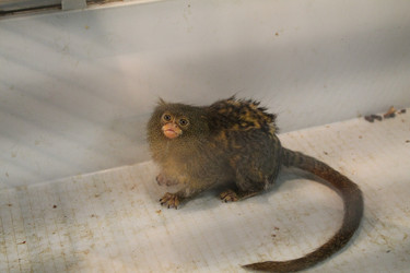 Similar image 21721381